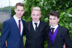 prom-12-of-17