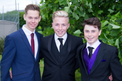 prom-13-of-17